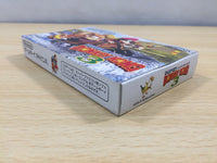 UE5918 Super Donkey Kong 3 BOXED GameBoy Advance Japan