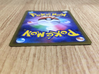 CE6676 Zamazenta V PROMO SJ 030/028 Pokemon Card TCG Japan