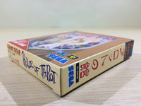 DK6838 Tarot no Yakata BOXED Sega Game Gear Japan