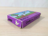 Duck Hunt BOXED NES Famicom Japan - UE1301