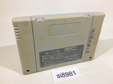 Super Puyo Puyo SNES Super Famicom Japan - SI8981