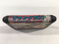 DK5766 Gain Ground Mega Drive Genesis Japan