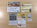 Hyrule Warriors BOXED Nintendo 3DS Japan - FH3237