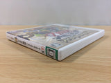 Hyrule Warriors BOXED Nintendo 3DS Japan - FH3237