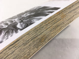 AAA1879 Grappler Baki Vol.10 Japanese Manga