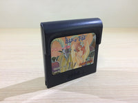 DK6838 Tarot no Yakata BOXED Sega Game Gear Japan