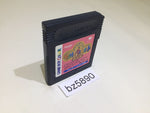 BZ5890 Sanrio Time Net Kako Hen GameBoy Game Boy Japan
