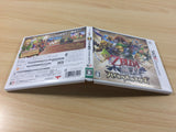 Hyrule Warriors BOXED Nintendo 3DS Japan - FH3237