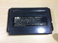 DK5969 Final Blow Mega Drive Genesis Japan