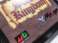 DK8221 Sorcer Kingdom BOXED Mega Drive Genesis Japan