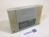Yu Yu Hakusho SNES Super Famicom Japan - SJ6645