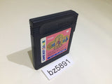 BZ5891 Sanrio Time Net Kako Hen GameBoy Game Boy Japan