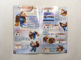 HA1078 ManualOnly Super Donkey Kong Country 3 SNES Super Famicom Japan