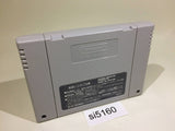 Dai Bakushou Jinsei Gekijou Ooedo Nikki SNES Super Famicom Japan - SI5160