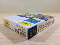DK6839 Head Buster BOXED Sega Game Gear Japan
