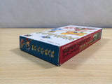 Sansara Naga 2 BOXED SNES Super Famicom Japan - UE6147