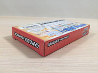 UE4000 One Piece Going Baseball Kaizoku Yakyuu BOXED GameBoy Advance Japan