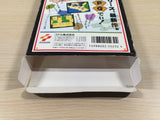 UE5328 Ganbare Goemon Gaiden Mystical Ninja BOXED NES Famicom Japan