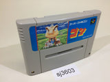 GON SNES Super Famicom Japan - SJ3603