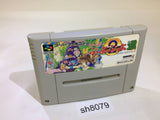 Super Puyo Puyo 2 Tsu SNES Super Famicom Japan - SH8079