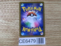 CE6479 Ice Rider Calyrex VMAX CSR s8b 221/184 Pokemon Card TCG Japan