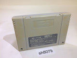 Super Puyo Puyo 2 Tsu SNES Super Famicom Japan - SH8079