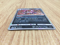 CE6133 Hydreigon PROMO PROMO 118/SM-P Pokemon Card TCG Japan