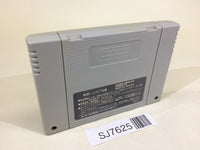 SJ7625 Libble Rabble SNES Super Famicom Japan