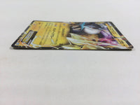 CD8389 Raikou EX R BW4 025/069 Pokemon Card TCG Japan