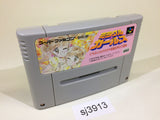 SJ3913 Miracle Girls SNES Super Famicom Japan