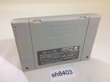 Rokudenashi Blues Taiketsu! Tokyo Shitennou SNES Super Famicom Japan - SH8403