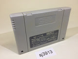 SJ3913 Miracle Girls SNES Super Famicom Japan