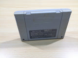 Sansara Naga 2 BOXED SNES Super Famicom Japan - UE6147