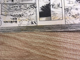 AAA1135 D.Gray-man Vol.10 Japanese Manga