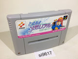 Tokimeki Memorial Densetsu no Ki no Shita de SNES Super Famicom Japan - SI9617