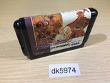 DK5974 Shining And The Darkness Mega Drive Genesis Japan
