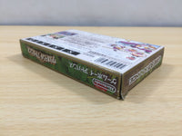 UE5782 Wario Land Advance Mario BOXED GameBoy Advance Japan