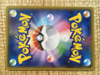 CE5280 Hippowdon R XY5GV 042/070 Pokemon Card TCG Japan