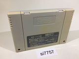 Dai Bakushou Jinsei Gekijou SNES Super Famicom Japan - SI7757