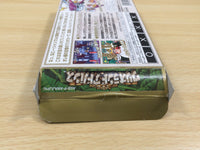 UE5782 Wario Land Advance Mario BOXED GameBoy Advance Japan