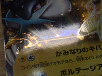 CE2860 Raikou EX R BW4 025/069 Pokemon Card TCG Japan