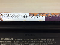 DK5974 Shining And The Darkness Mega Drive Genesis Japan