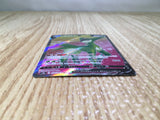 CE8481 Virizion V SR s9a 074/067 Pokemon Card TCG Japan