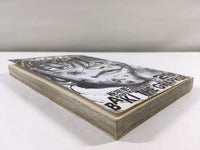 AAA1882 Grappler Baki Vol.29 Japanese Manga