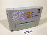 Torneco no Daibouken Fushigi no Dungeon SNES Super Famicom Japan - SI9319