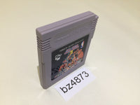 BZ4873 NBA All-Star Challenge 2 Basketball GameBoy Game Boy Japan