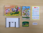 UE5783 Yoshi's UniversalGravitation Topsy Turvy BOXED GameBoy Advance Japan