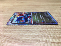 CE2862 Druddigon - DS 017/020 Pokemon Card TCG Japan