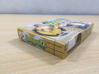 UE5921 Hikaru no Go BOXED GameBoy Advance Japan