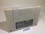 Super Wagyan Land SNES Super Famicom Japan - SI3885
